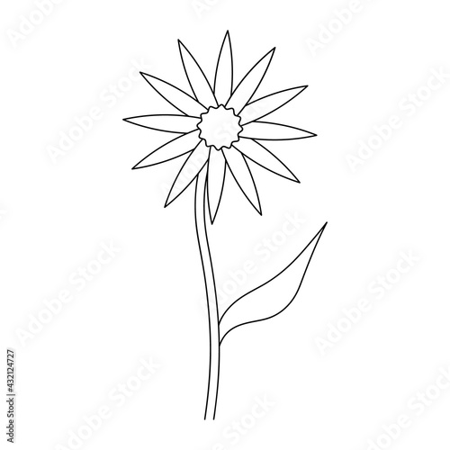  Flower. Sketch. A blossoming bud. Flowering plant. Vector illustration. Leaf on stem. Coloring book for children. Outline on an isolated white background. Doodle style.