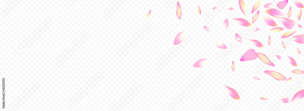 Pink Bloom Vector Panoramic Transparent Background. Leaf Falling Congratulation. Sakura Mother Texture. Blooming Wedding Backdrop. Bright Rose Fall Pattern.