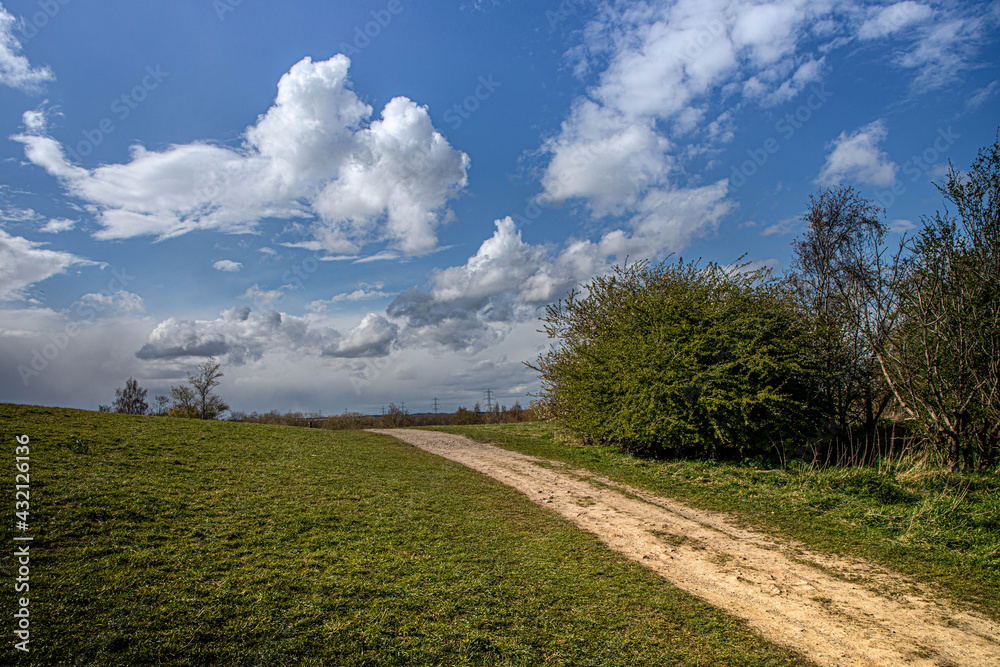 Cowpen Bewley, Nature Reserve