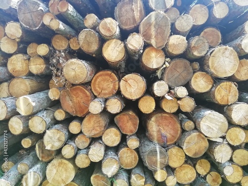 stack of wood