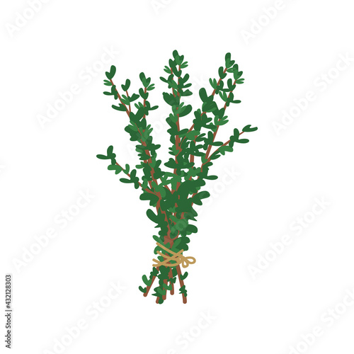 A bunch of herbs tied with a rope with a bow. Ingredient and seasoning thyme or oregano for cooking. Leaves on a branch
