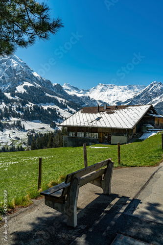 Frühling im Berner Oberland, Adelboden mit Grosser Lohner, Steghorn und Wildstrubel, frisch verschneit, snow from yesterday in spring on the Swiss mountains, illuminated peaks