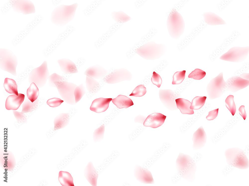 Pink sakura flower flying petals isolated on white vector background.