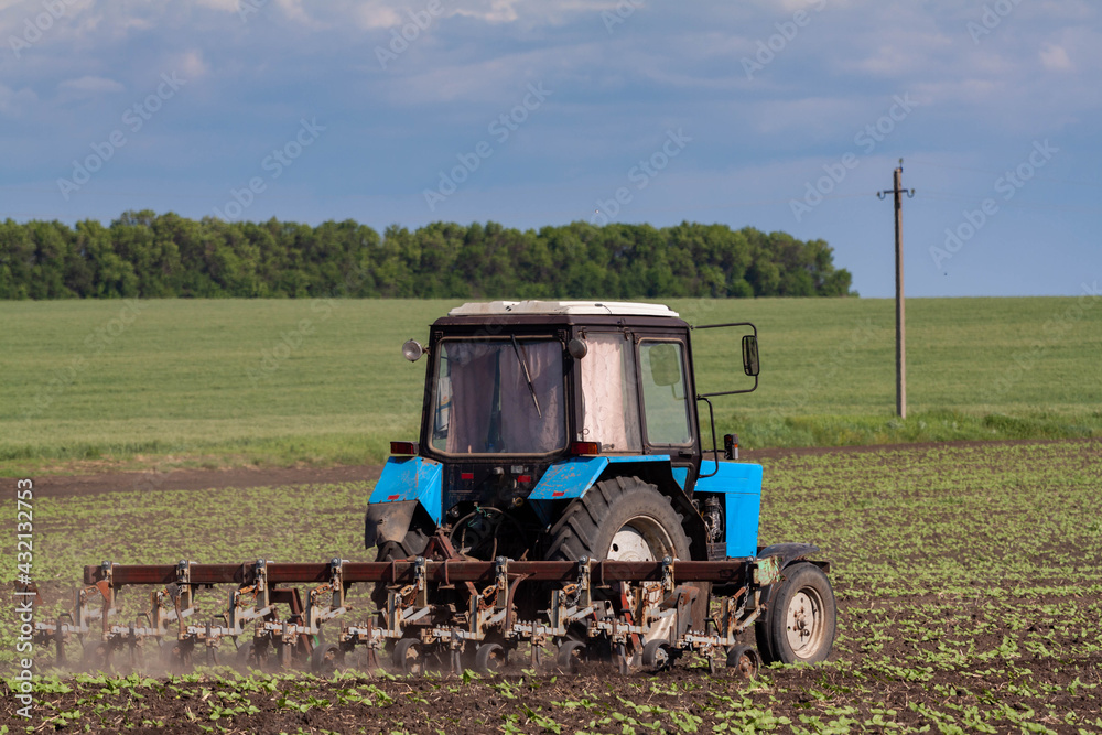 Obraz premium field work in agriculture. farmer's tractor harrows the field after planting seeds. tractor and seeder planting crops on a field.