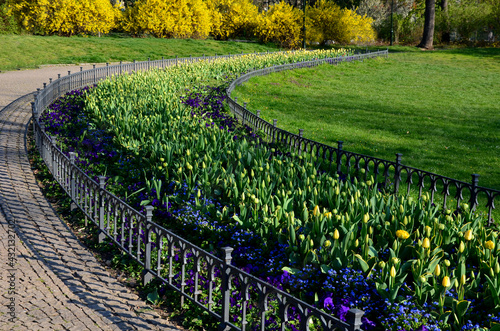 annual flowerbed with yellow and blue flowers bordered by a low fence of metal gray fittings. landscaping in summer with tulips photo