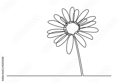 Chamomile continuous one line drawing. Cute chamomile isolated white background. Vector illustration