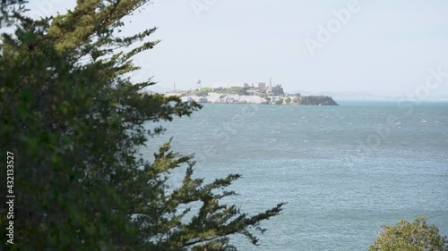Alcatraz Island and a tree in the foreground 