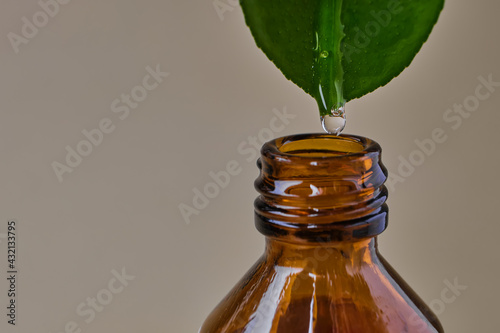 essential oil dripping from leaf into glass bottle isolated on beige