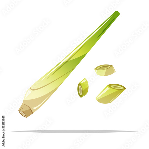 Fresh lemongrass vector isolated illustration
