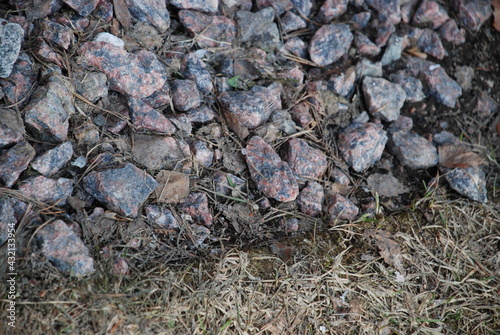 Wallpaper Mural Small granite stones lie on the ground. A scattering of small granite stones of various shapes lying on a flat surface. Multi-colored stones consist of shades of brown, red, gray, black. Torontodigital.ca