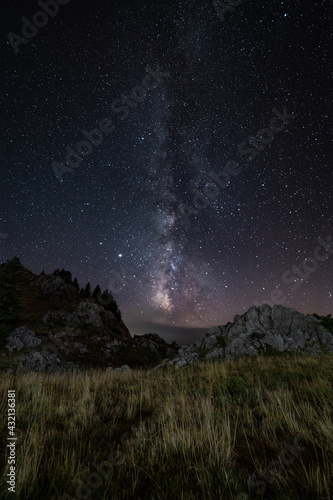 Field under the stars of the milky way at night. © Antony