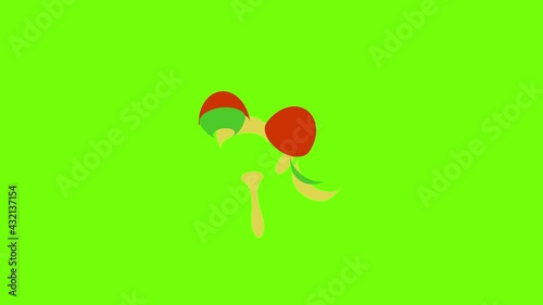 Maracas icon animation cartoon object on green screen background photo