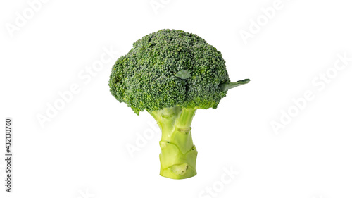 Green broccoli vegetable on a white background.