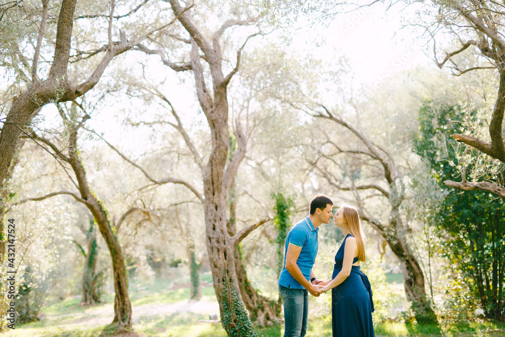 Tall man holds hands and kisses pregnant woman in a long dress against the backdrop of huge olive trees