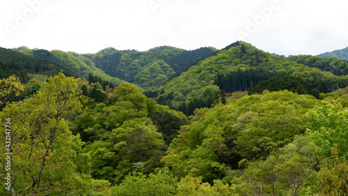 Early summer mountains