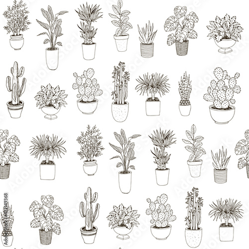 home plants hand drawn vector illustrations set