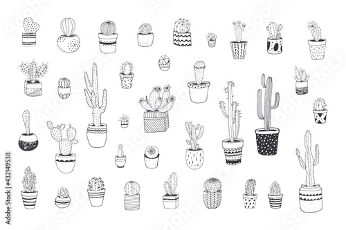 Cactus plants vector hand drawn illustrations set