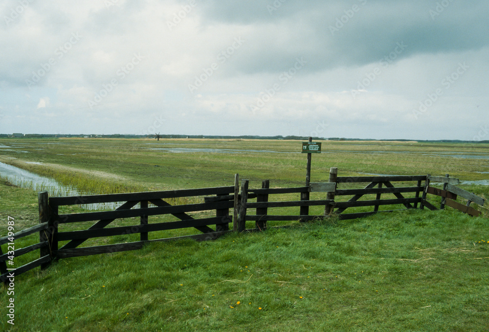 Réserve naturelle, Ile Texel,  mer des Wadden, Frize, Pays Bas