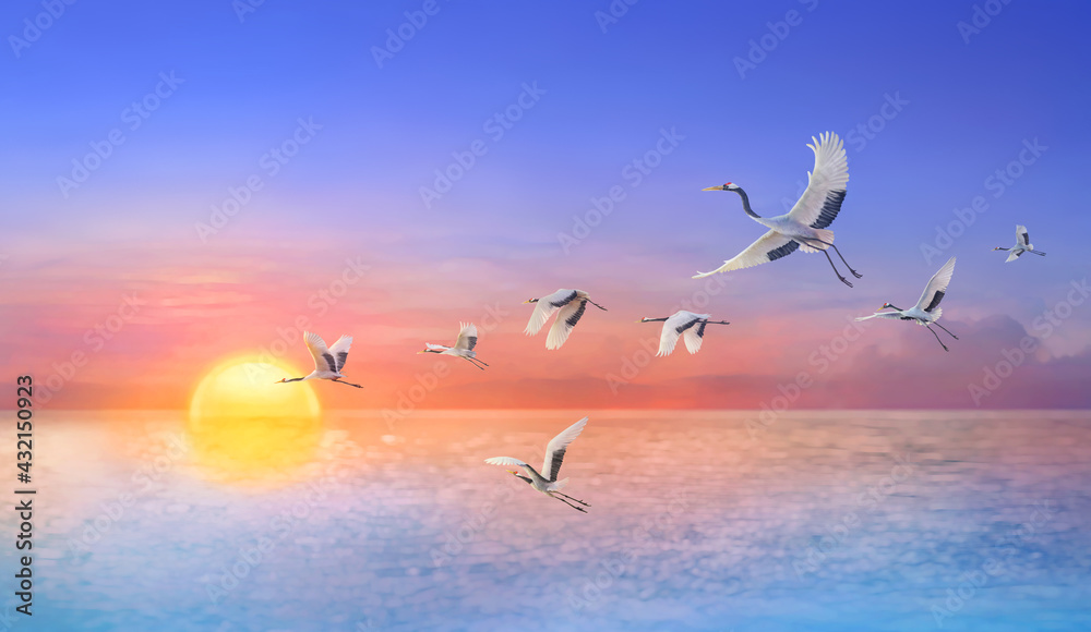 Fototapeta premium Paint red crowned crane flying through Beautiful sunrise