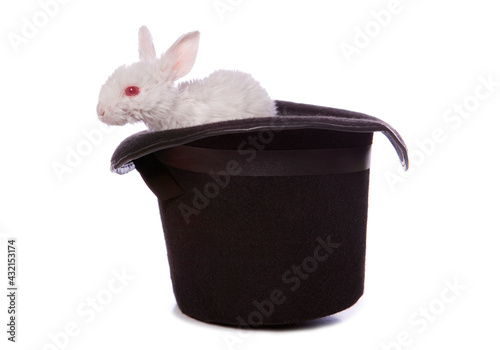 pulling a rabbit out of a hat magic trick