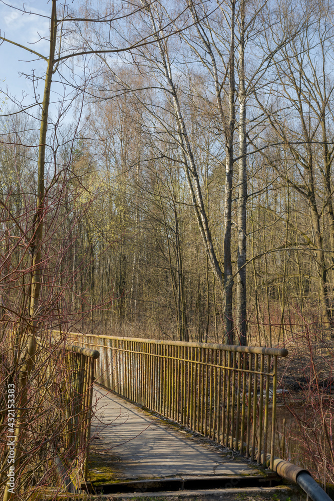 Pedestrian bridge in a park with bare trees. Early spring.