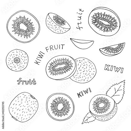 Vector illustration with kiwi and kiwi slices on a white background.