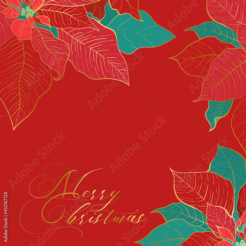 Silk Poinsettia Christmas square red background