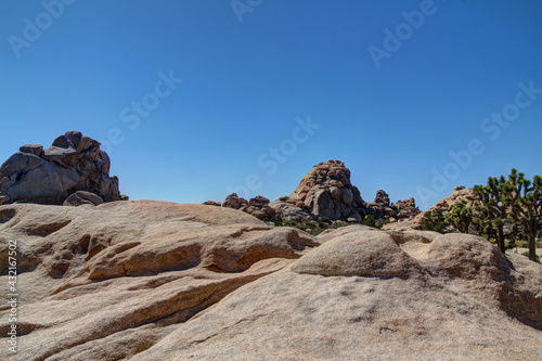 Rocky landscape with Joshua Trees (Yucca brevifolia) and large boulder rocks in Joshua Tree National Park, California. Hidden Valley Nature Trail Campground area.