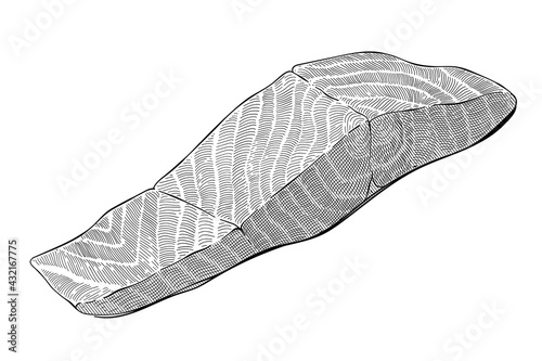 Salmon fillet illustration, north atlantic fish fillet, omega-3 source, healthy seafood, hand drawn art in engraving style, black and white ink vector clipart isolated