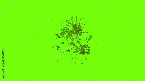 American elm icon animation cartoon object on green screen background