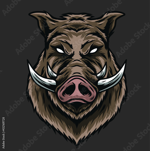 Boar Head Illustration