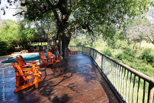 Sabi Sabi private game reserve pool and deck chairs at main lodge photo