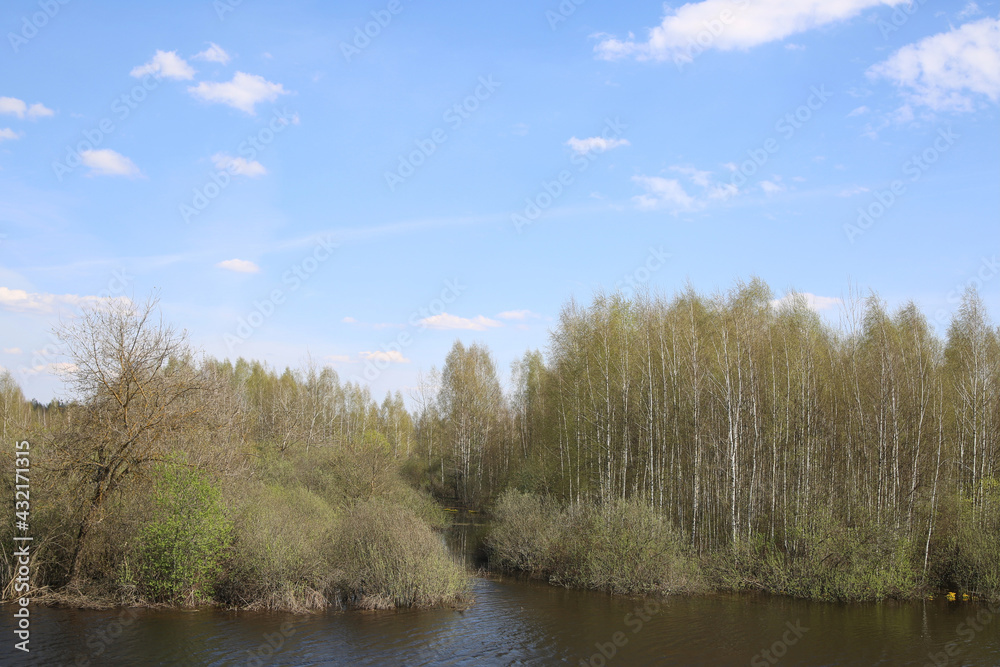 Landscape with deciduous forest and river. Landscape with deciduous forest and river.