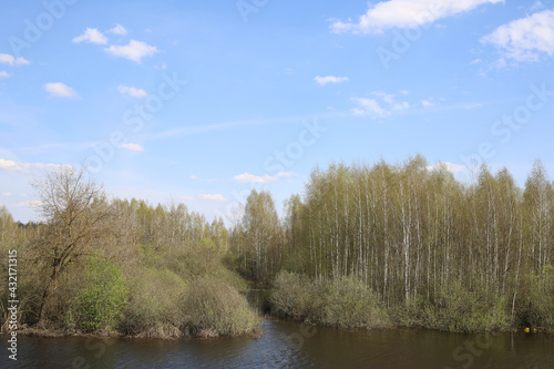 Landscape with deciduous forest and river.