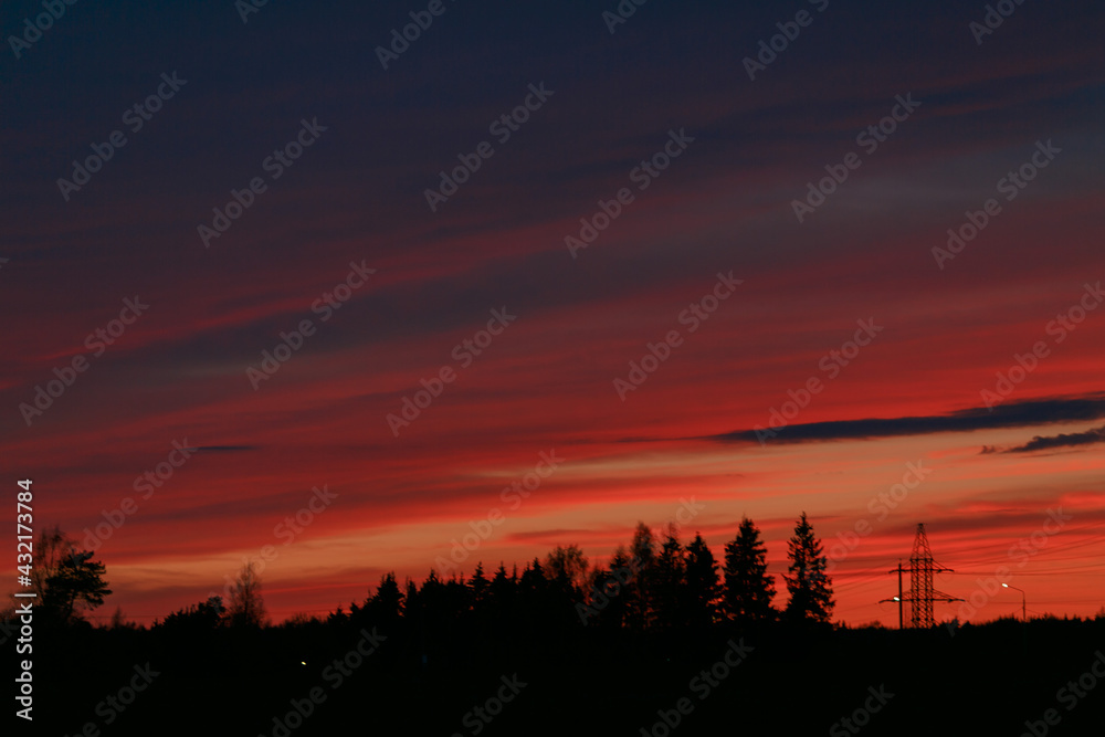 The sky after sunset over the forest. 