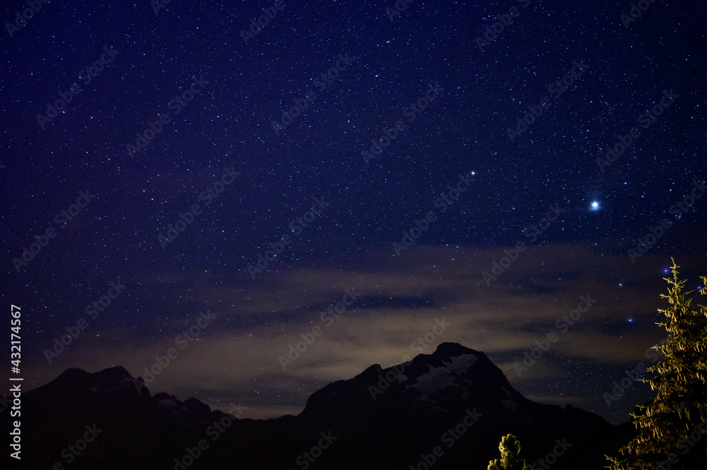 Evergreen fir tree with cones, peaks of French Alps mountains and starry sky at night on background