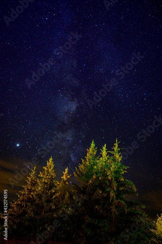 Evergreen fir tree with cones, peaks of French Alps mountains and starry sky at night on background © barmalini