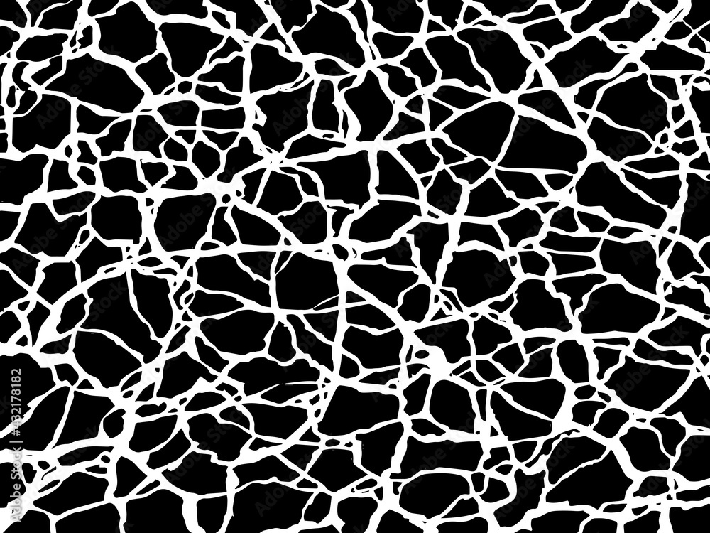 The cracks texture white and black. Vector background. Cracked earth. Structure of cracking. The cracks texture white and black. Vector background. Cracked earth. Structure of cracking.