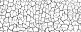  Background from cracks, scratches, chips. Grunge texture black and white.   Vector illustration.