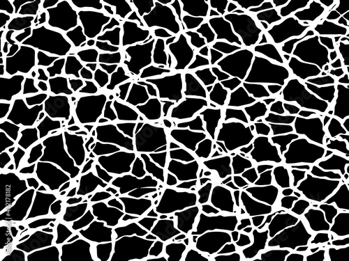 The cracks texture white and black. Vector background. Cracked earth. Structure of cracking. 