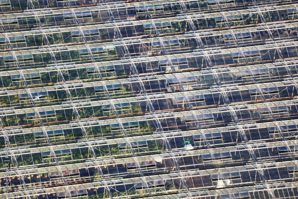 A aerial photograph of a large commercial greenhouse taken from a helicopter. Plants can be seen growing inside. The image has a repetitive diagonal pattern.