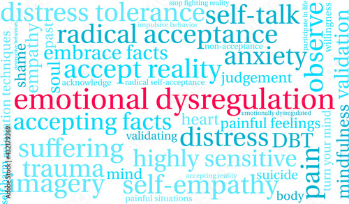 Emotional Dysregulation Word Cloud on a white background. 