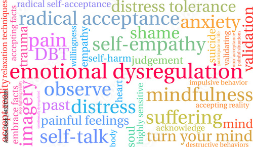 Emotional Dysregulation Word Cloud on a white background. 
