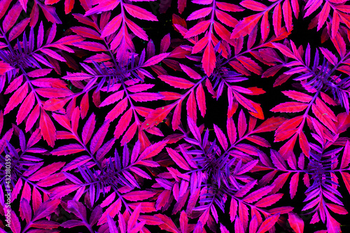 Quadro em tela natural background with pink and red textured leaves, toned in red