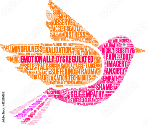 Emotionally Dysregulated Word Cloud