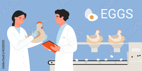 Poultry farm food industry, egg production vector illustration. Cartoon woman character working, holding hen, workers standing next to conveyor belt equipment with chickens and egg products background