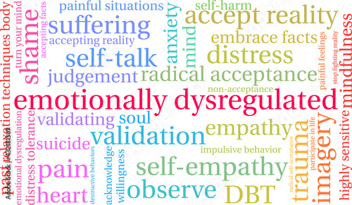 Emotionally Dysregulated Word Cloud