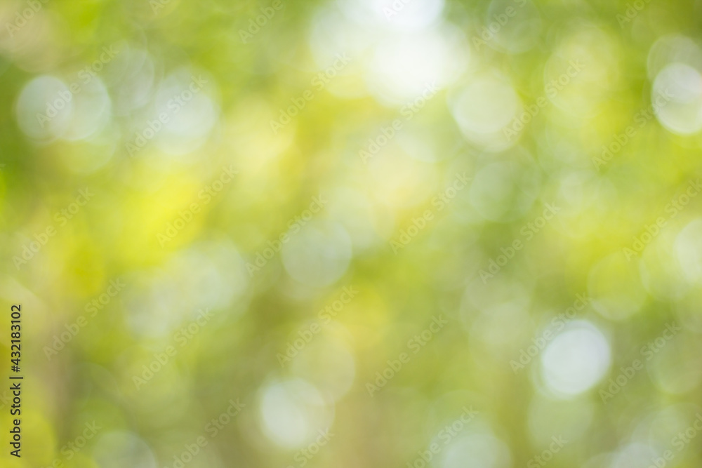 green bokeh background green bokeh background