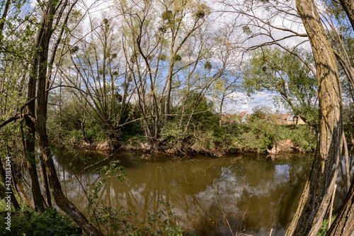 View of the river through the trees, Alsace, France. This unusual view of trees in the shape of a rounded window is due to the use of a fisheye lens