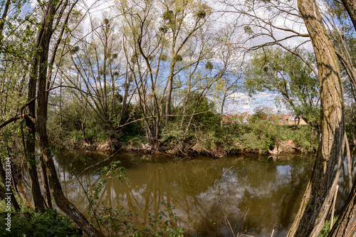 View of the river through the trees  Alsace  France. This unusual view of trees in the shape of a rounded window is due to the use of a fisheye lens